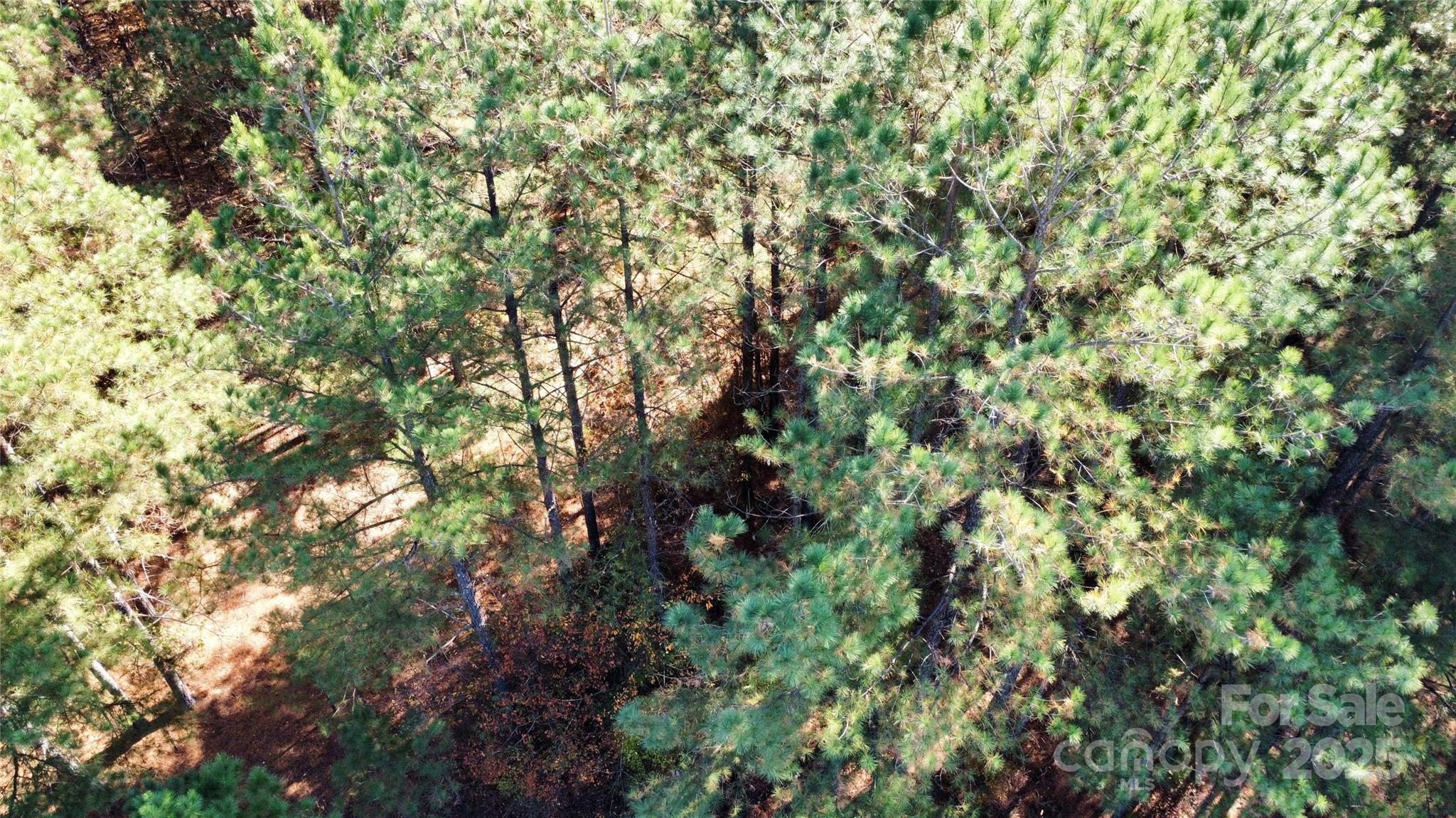 127 Whispering Pines Lane Mooresboro NC 28114