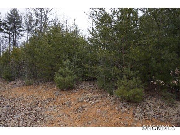 164 Lands End Drive West Hendersonville NC 28791