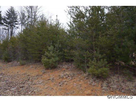 164 Lands End Drive West Hendersonville NC 28791