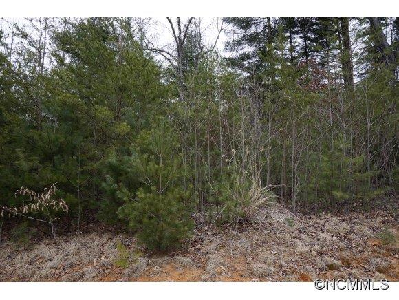 164 Lands End Drive West Hendersonville NC 28791