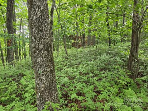 Tbd Cedar Lane Brevard NC 28712