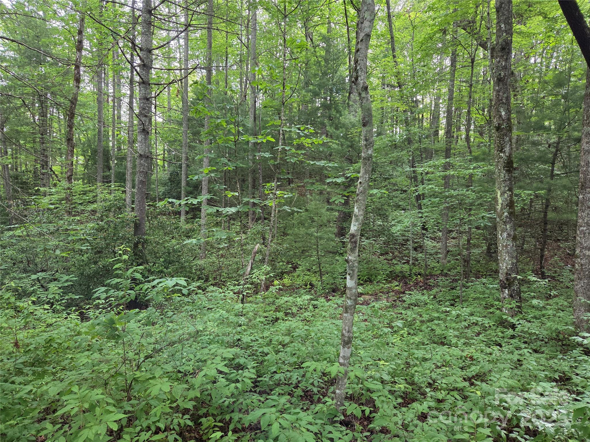Tbd Cedar Lane Brevard NC 28712