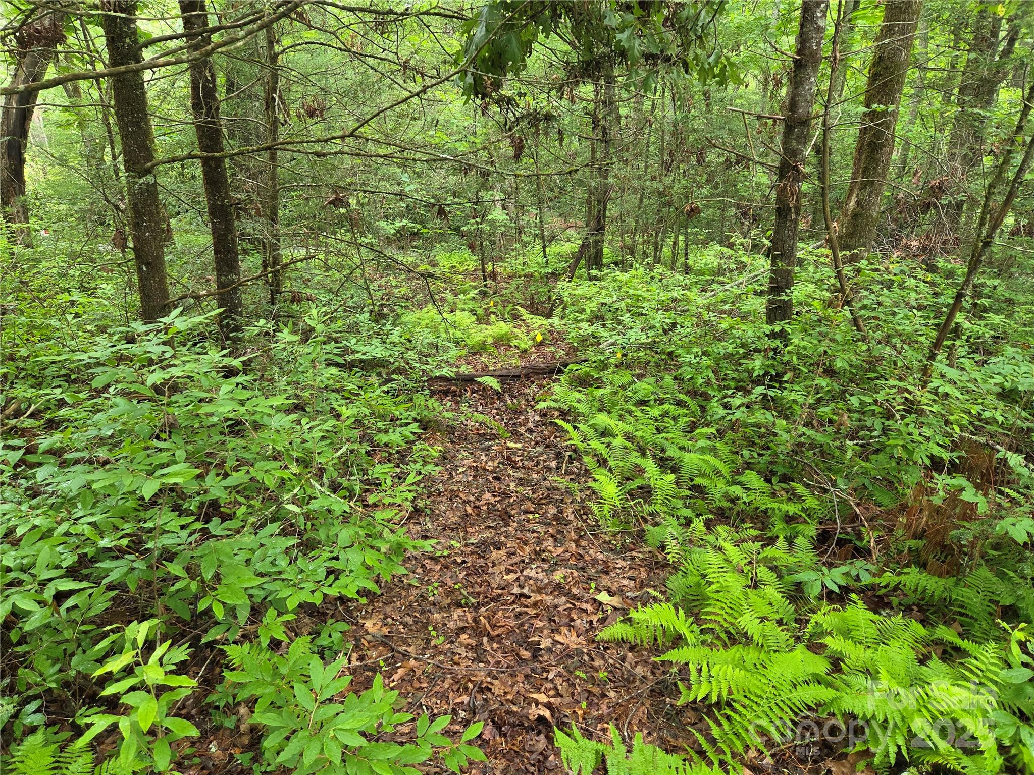 Tbd Cedar Lane Brevard NC 28712