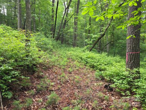 Tbd Cedar Lane Brevard NC 28712