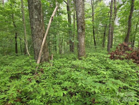 Tbd Cedar Lane Brevard NC 28712
