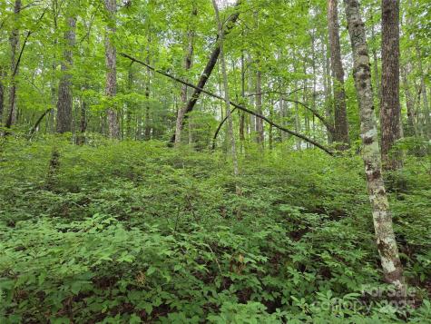 Tbd Cedar Lane Brevard NC 28712