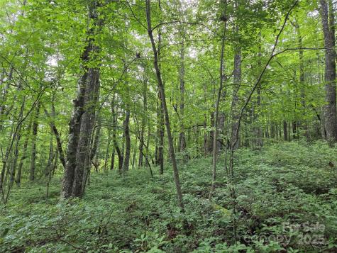 Tbd Cedar Lane Brevard NC 28712
