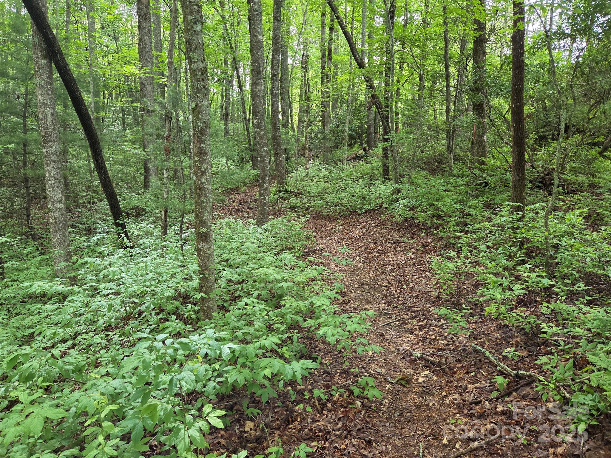 Tbd Cedar Lane Brevard NC 28712