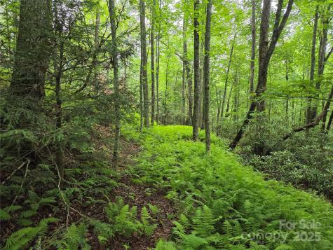 Tbd Cedar Lane Brevard NC 28712