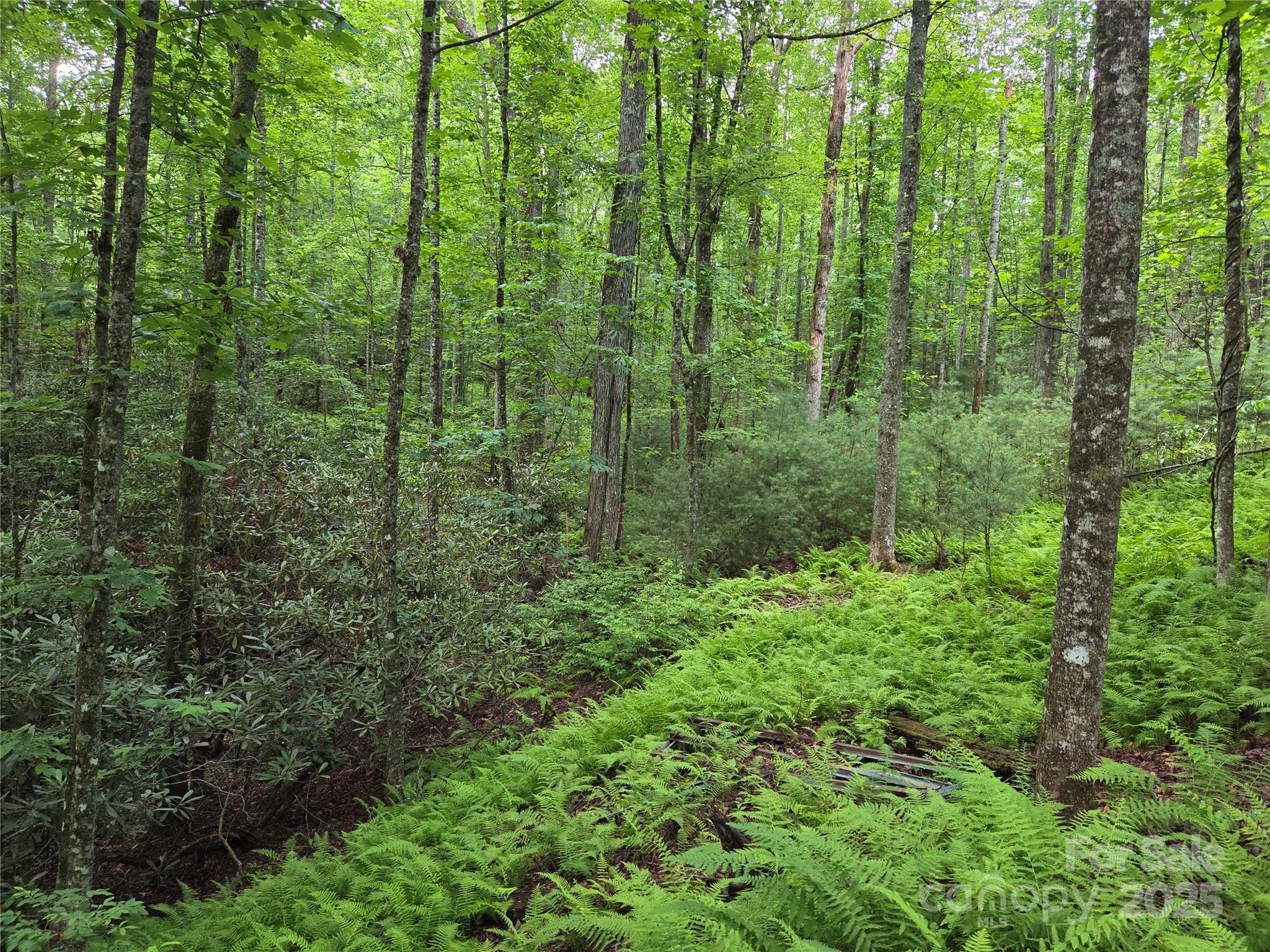 Tbd Cedar Lane Brevard NC 28712