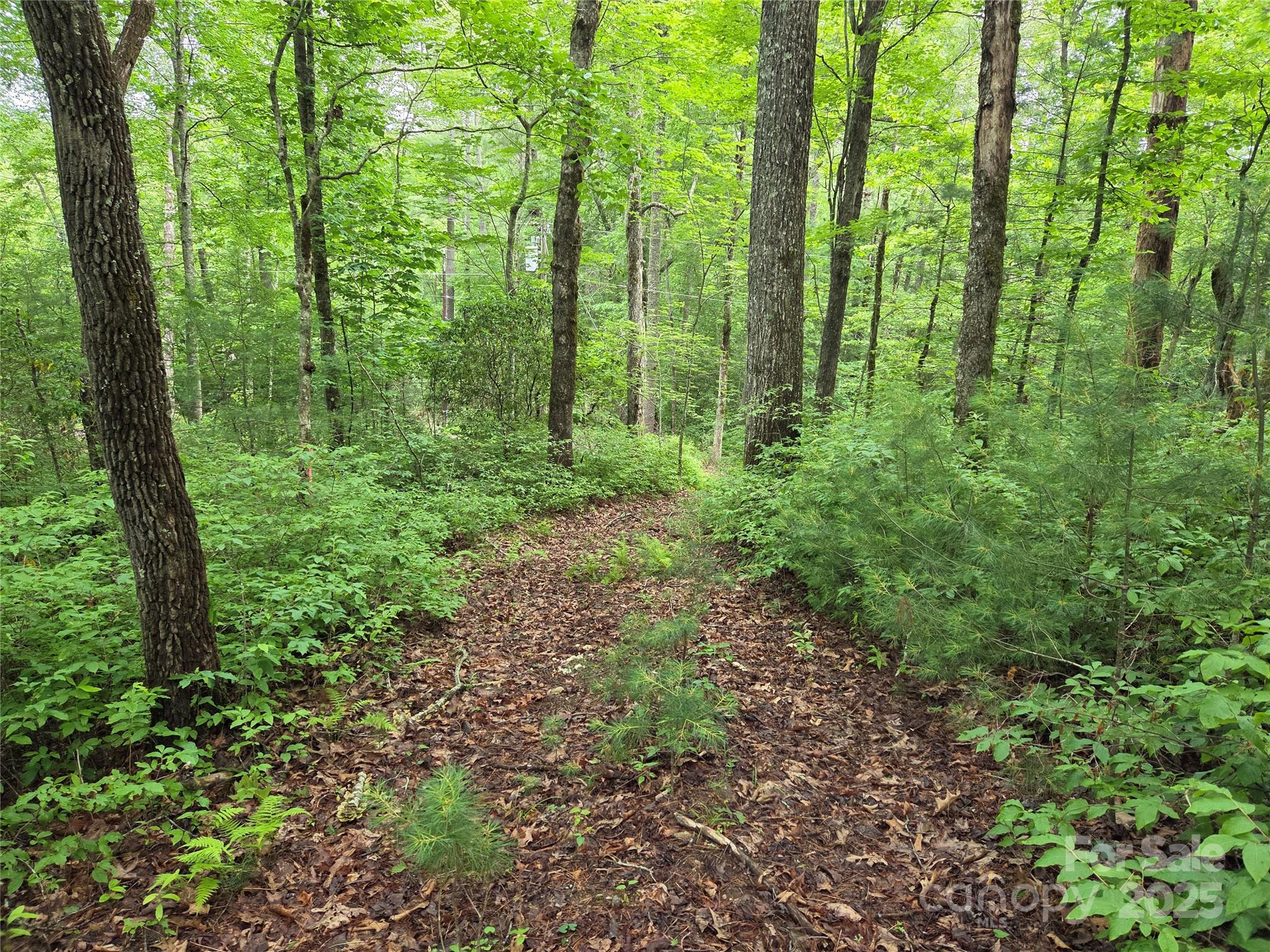 Tbd Cedar Lane Brevard NC 28712