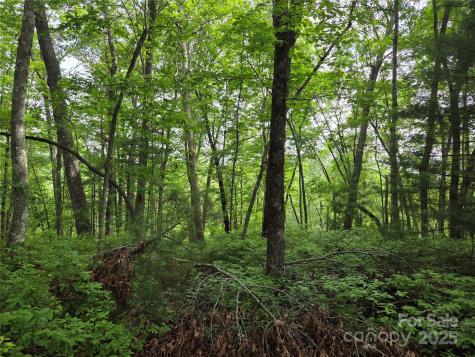 Tbd Cedar Lane Brevard NC 28712