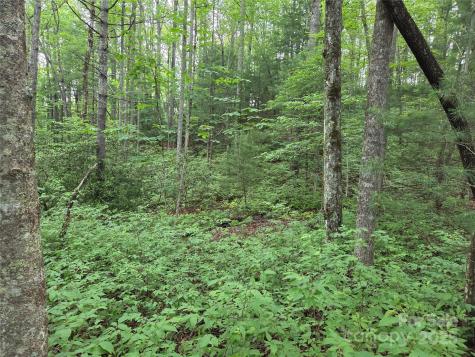 Tbd Cedar Lane Brevard NC 28712