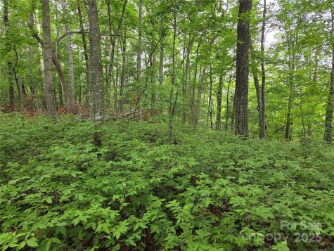 Tbd Cedar Lane Brevard NC 28712