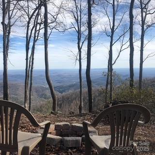 00 Mackerel Mountain Road Zirconia NC 28790