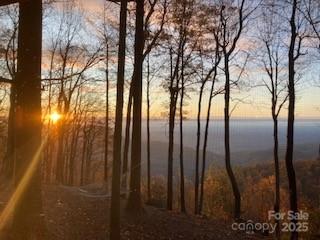 00 Mackerel Mountain Road Zirconia NC 28790