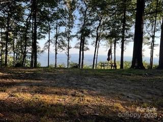 00 Mackerel Mountain Road Zirconia NC 28790