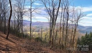 00 Mackerel Mountain Road Zirconia NC 28790