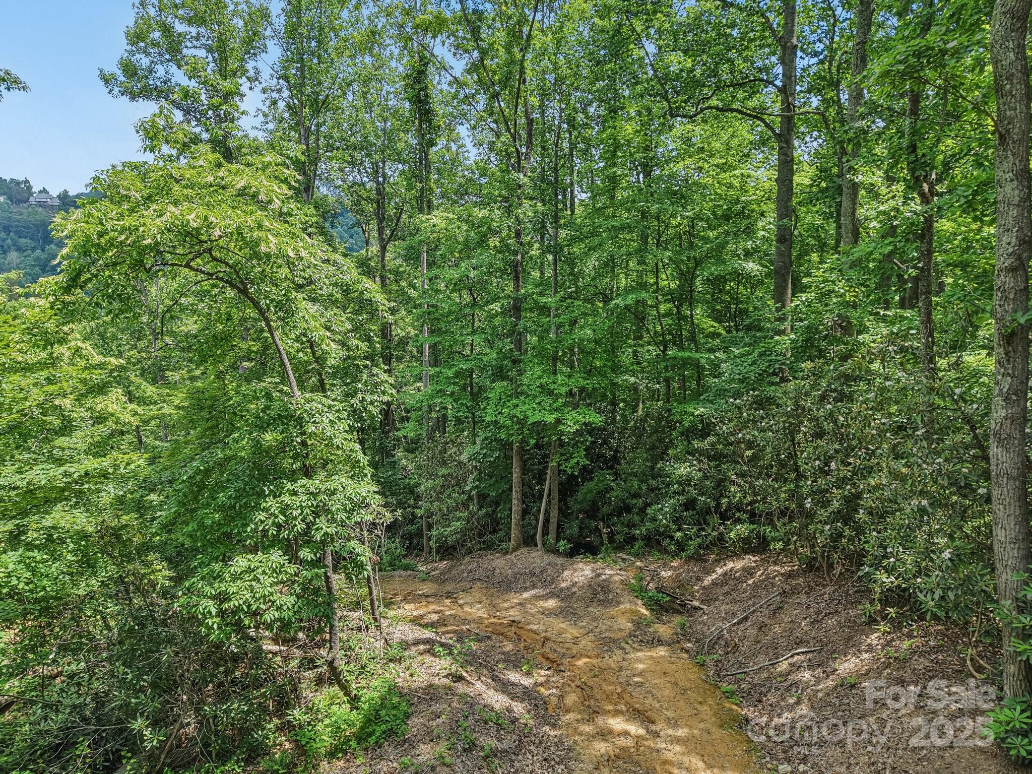 Tbd Fiver Lane Hendersonville NC 28792