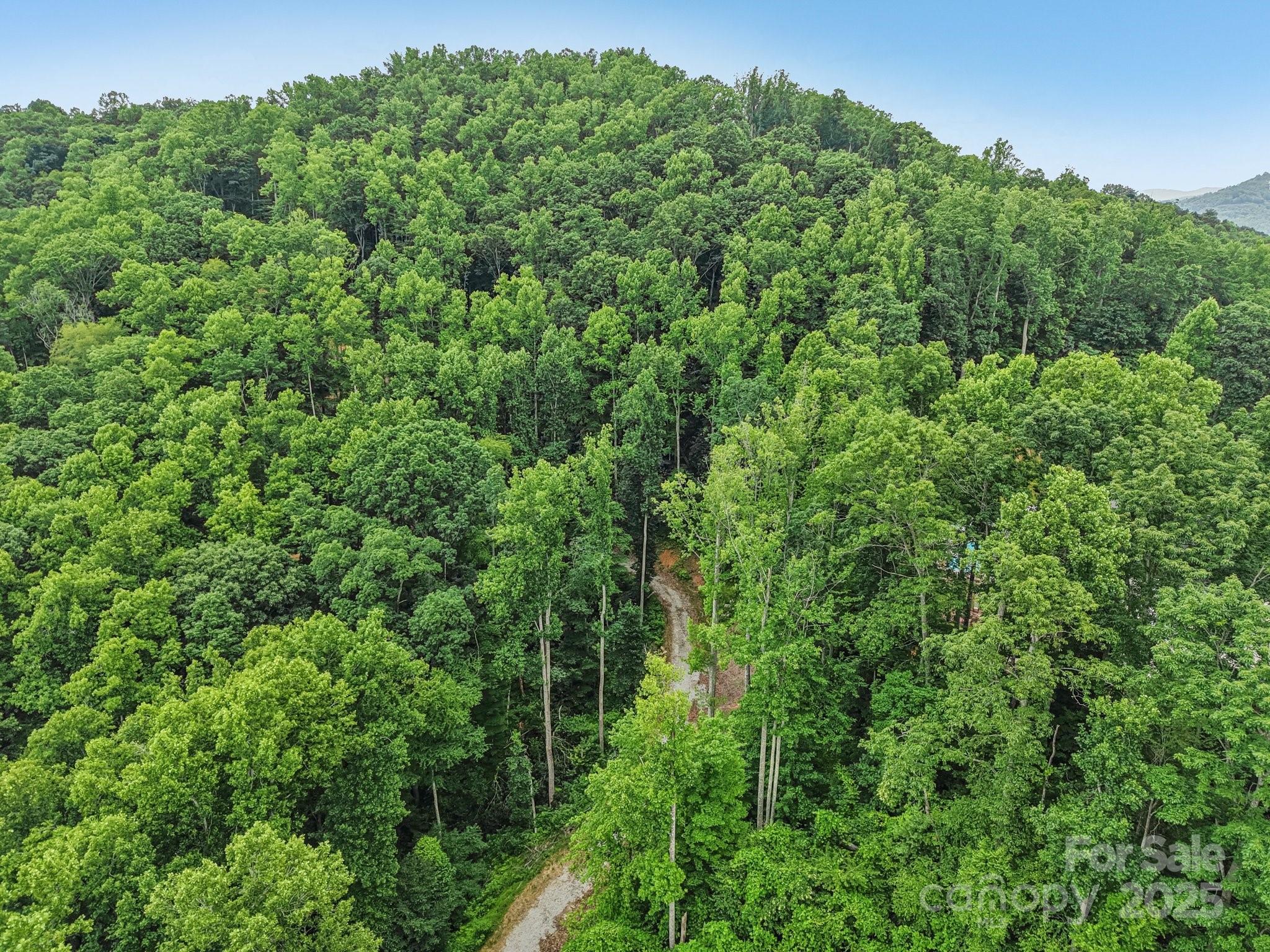 Tbd Fiver Lane Hendersonville NC 28792