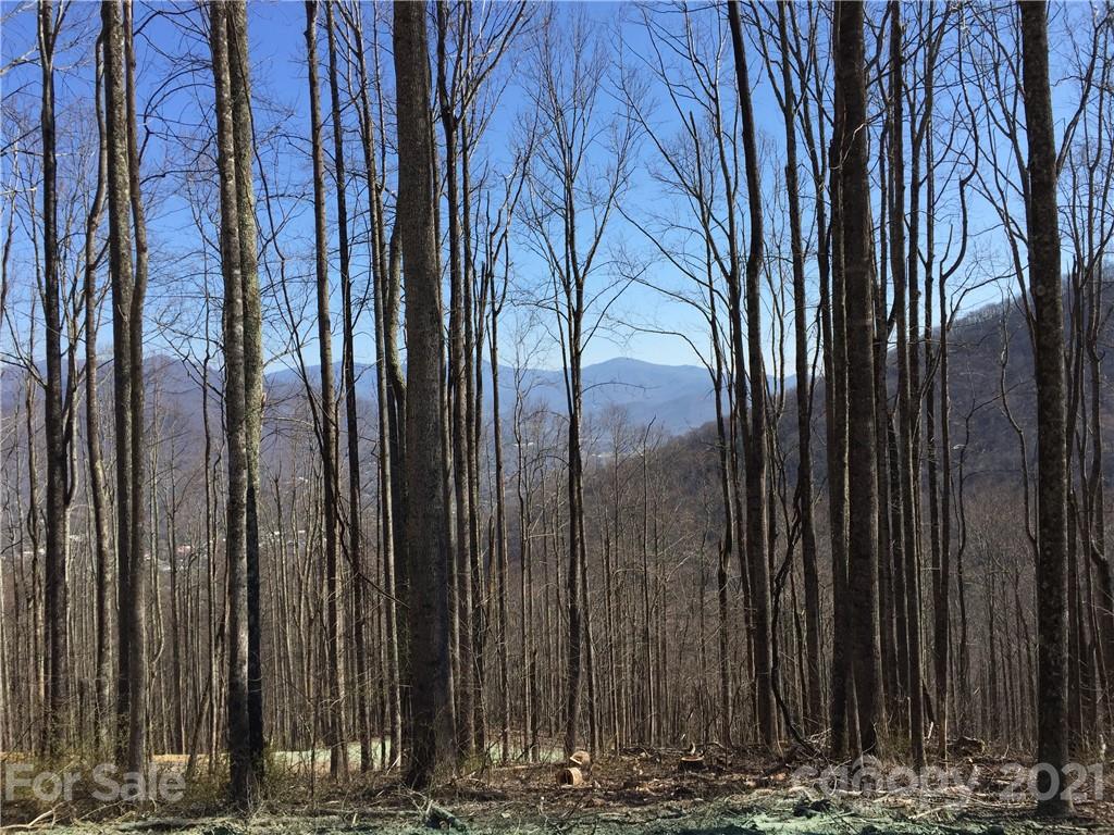1353 Daydream Ridge Swannanoa NC 28778