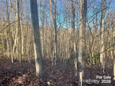 129 Pinnacle Peak Lane Flat Rock NC 28731