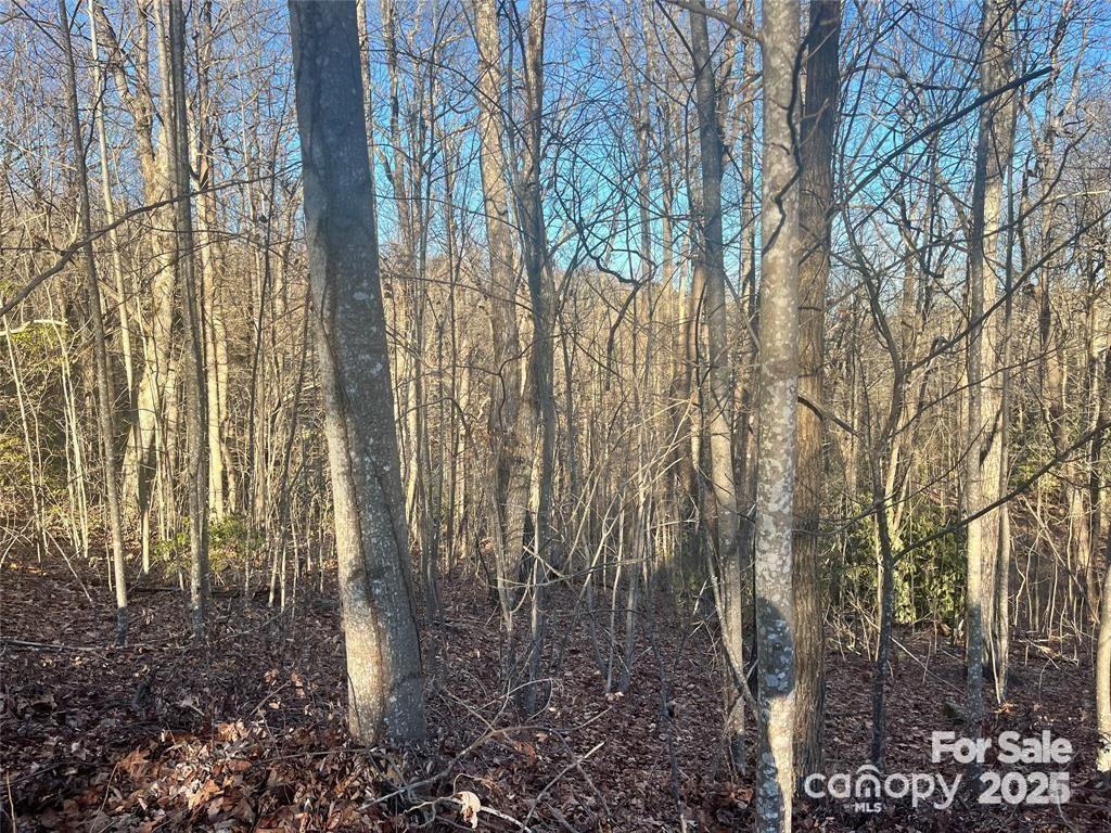 129 Pinnacle Peak Lane Flat Rock NC 28731