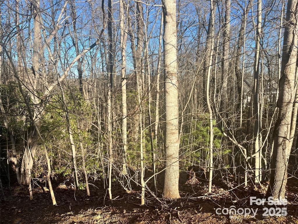 129 Pinnacle Peak Lane Flat Rock NC 28731