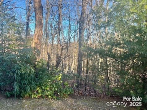 129 Pinnacle Peak Lane Flat Rock NC 28731
