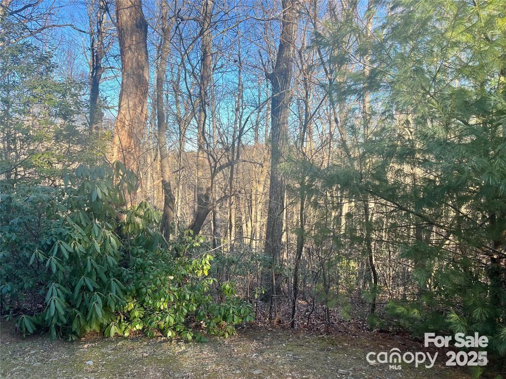 129 Pinnacle Peak Lane Flat Rock NC 28731