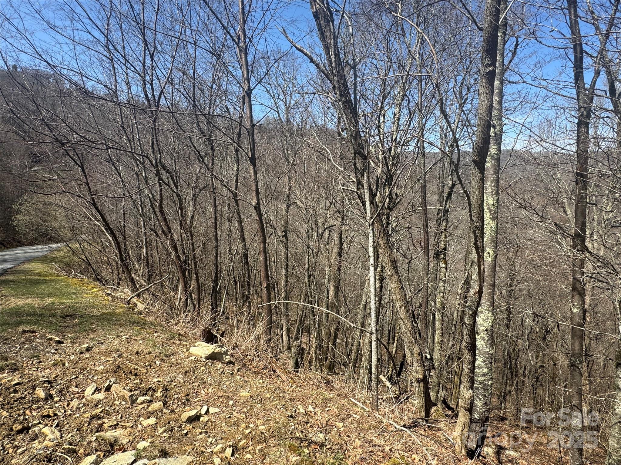 53 & 55 Running Cedar Drive Mars Hill NC 28754