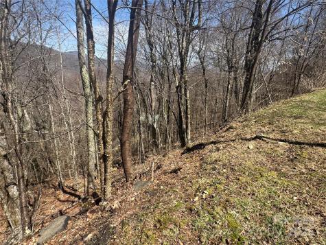 53 & 55 Running Cedar Drive Mars Hill NC 28754