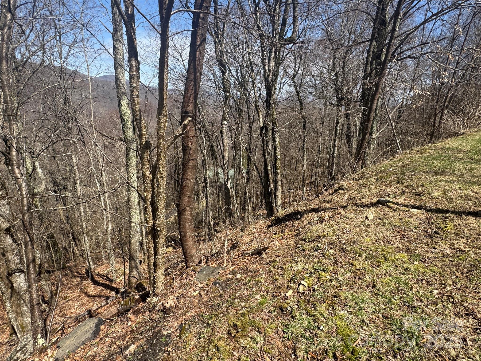53 & 55 Running Cedar Drive Mars Hill NC 28754