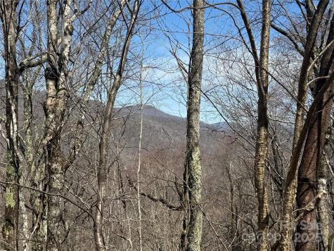 53 & 55 Running Cedar Drive Mars Hill NC 28754