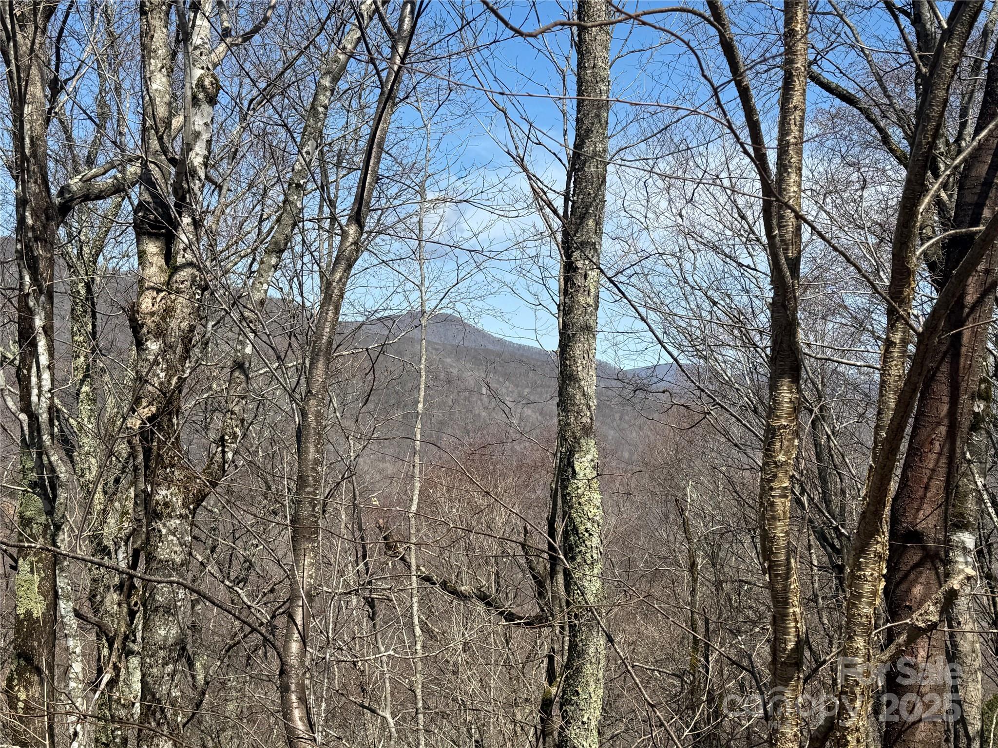 53 & 55 Running Cedar Drive Mars Hill NC 28754