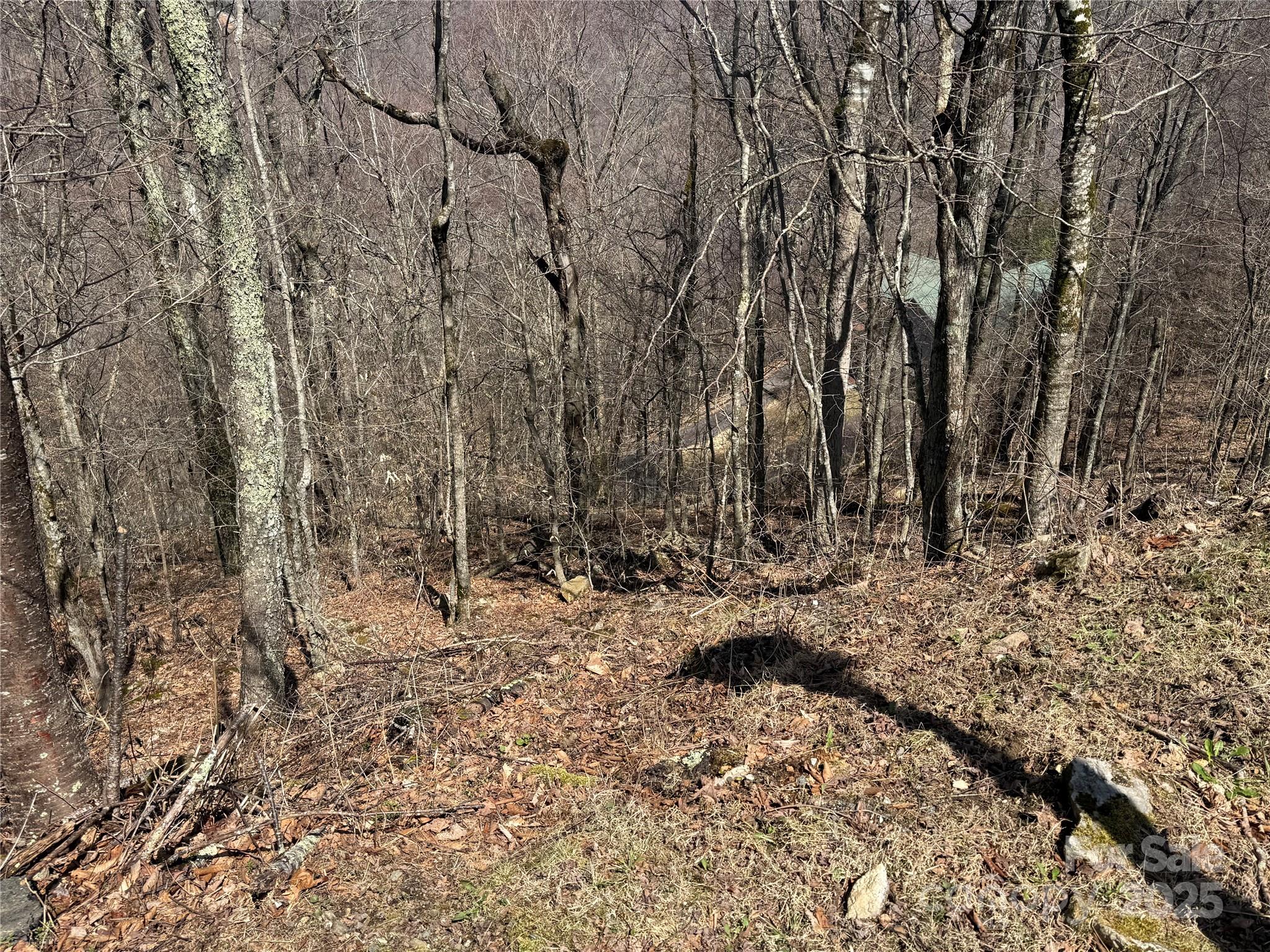 53 & 55 Running Cedar Drive Mars Hill NC 28754