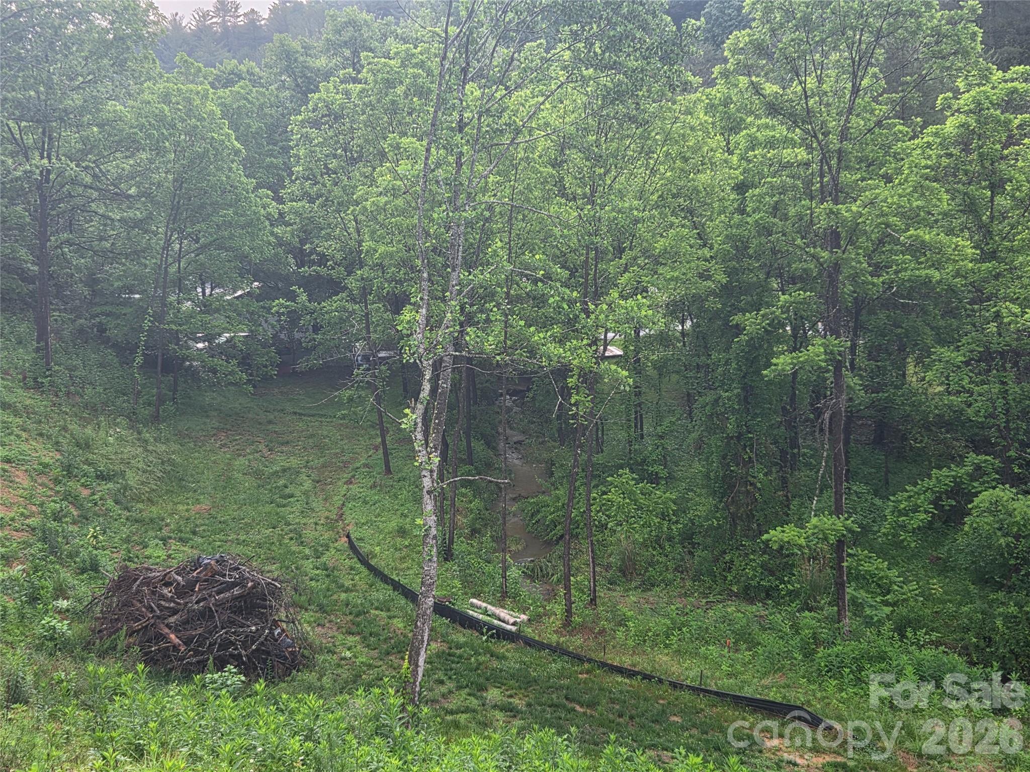 374 Big Branch Drive Mars Hill NC 28754