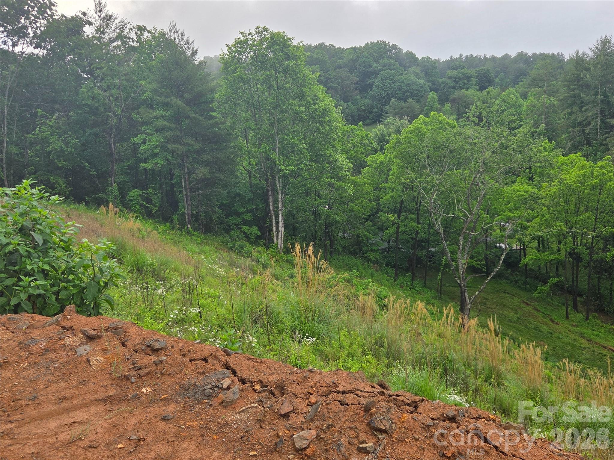 374 Big Branch Drive Mars Hill NC 28754