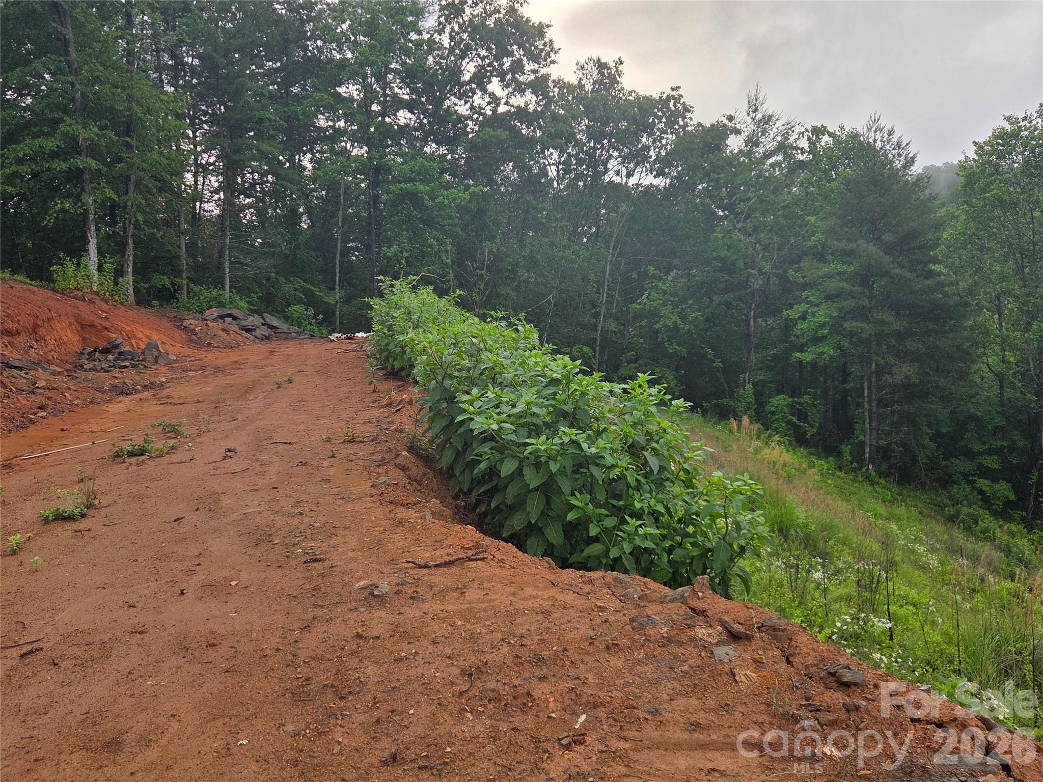 374 Big Branch Drive Mars Hill NC 28754