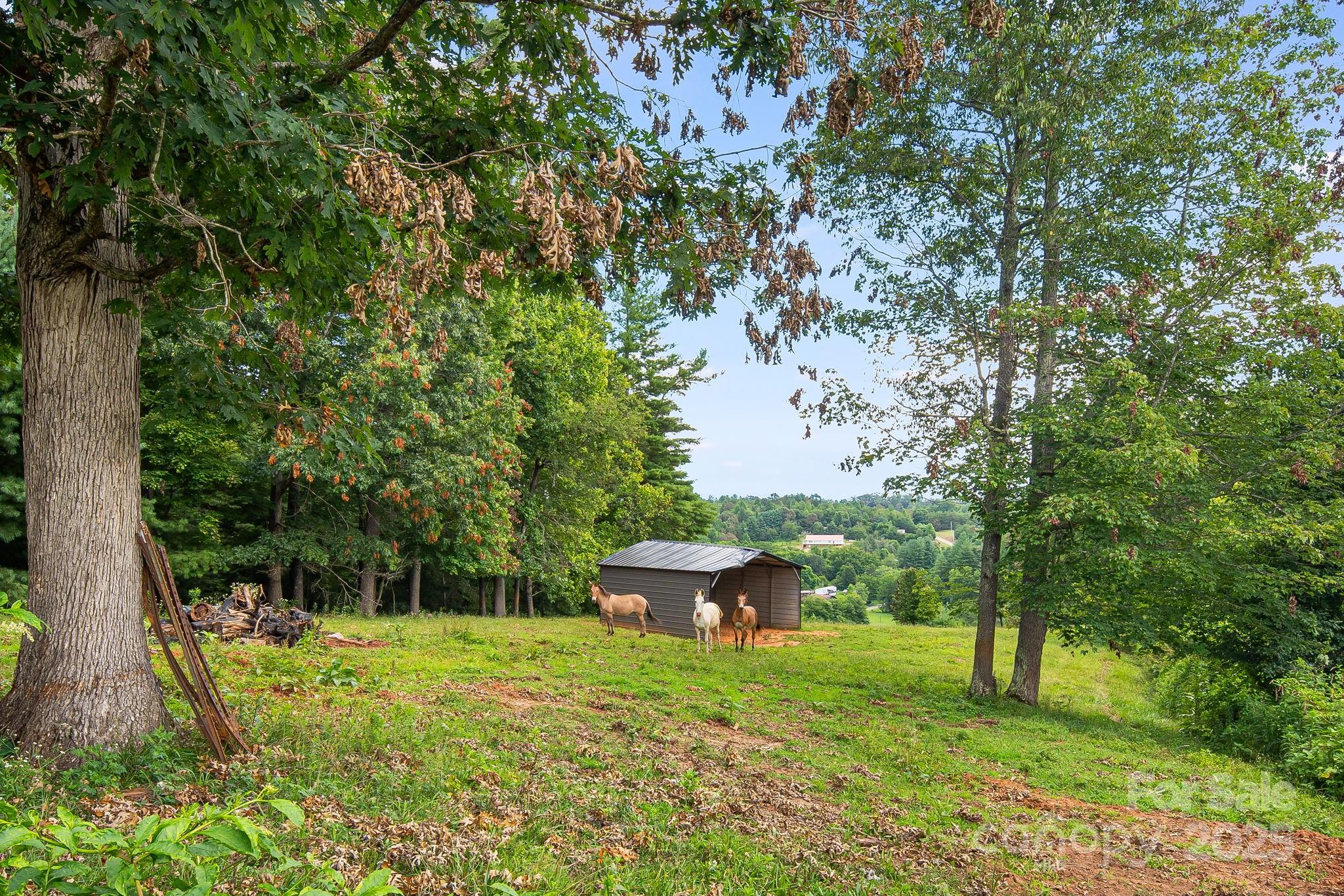 Tbd Don Felmet Road Marshall NC 28753