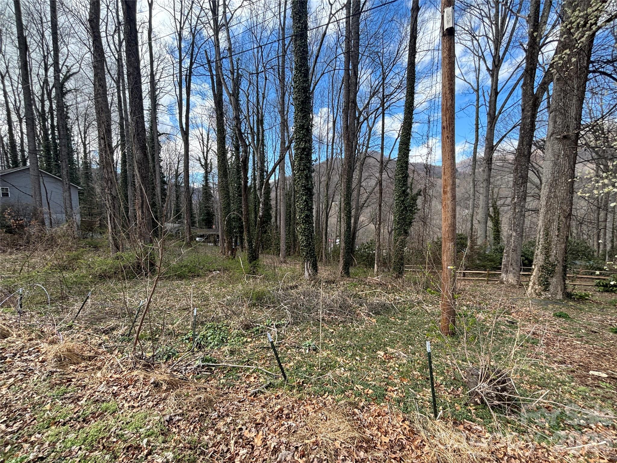 Tbd Ash Drive Maggie Valley NC 28751