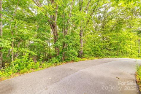 99999 Pheasant Ridge Road Fairview NC 28730