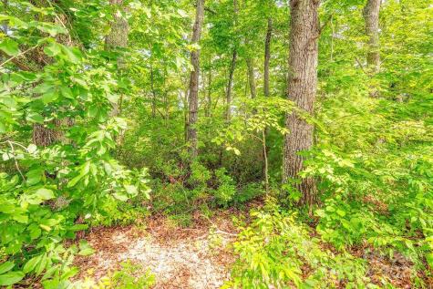 99999 Pheasant Ridge Road Fairview NC 28730