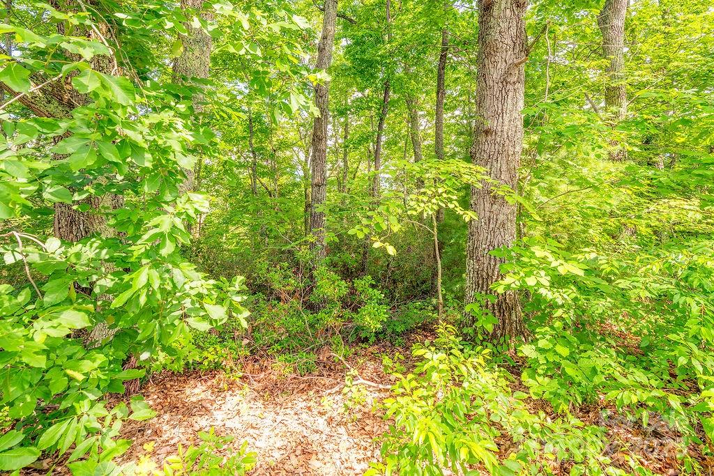 99999 Pheasant Ridge Road Fairview NC 28730