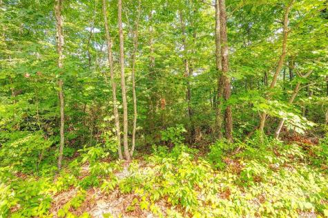 99999 Pheasant Ridge Road Fairview NC 28730