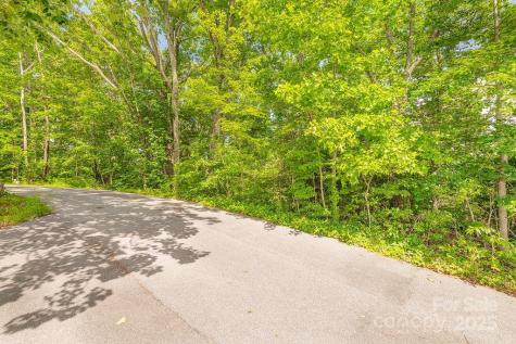 99999 Pheasant Ridge Road Fairview NC 28730