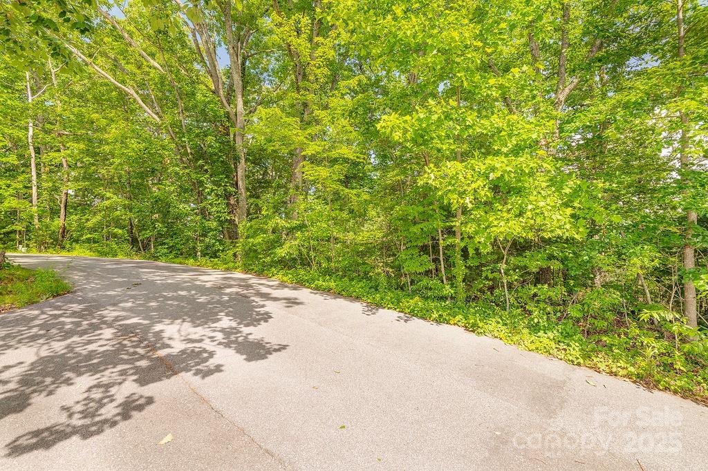 99999 Pheasant Ridge Road Fairview NC 28730
