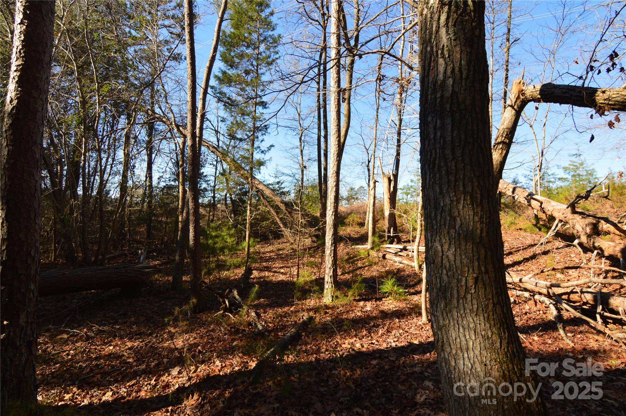 5036 Hermitage Court Belmont NC 28012