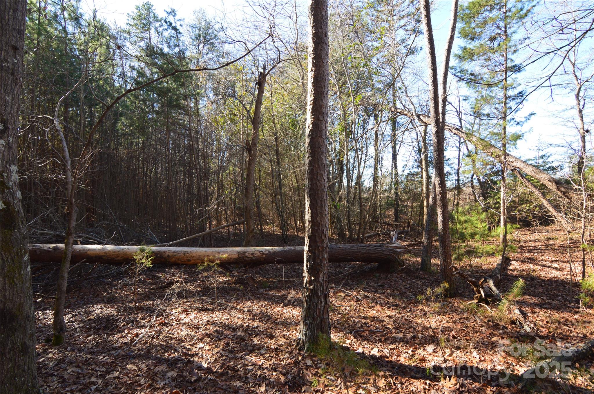 5036 Hermitage Court Belmont NC 28012