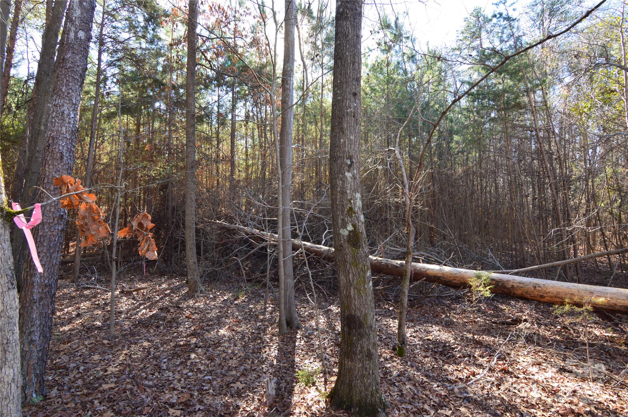 5036 Hermitage Court Belmont NC 28012